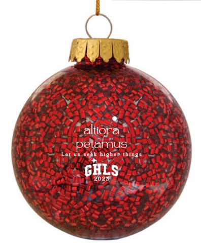 Holiday Ornament 2023
